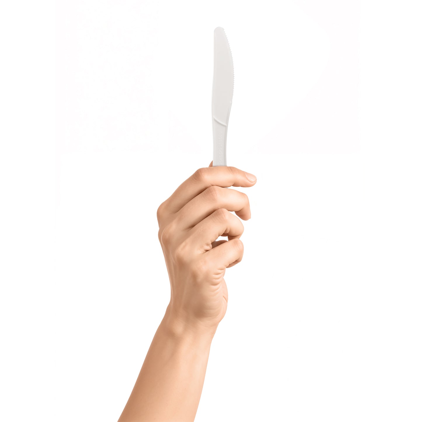 Biodegradable Knife, 2000 Count